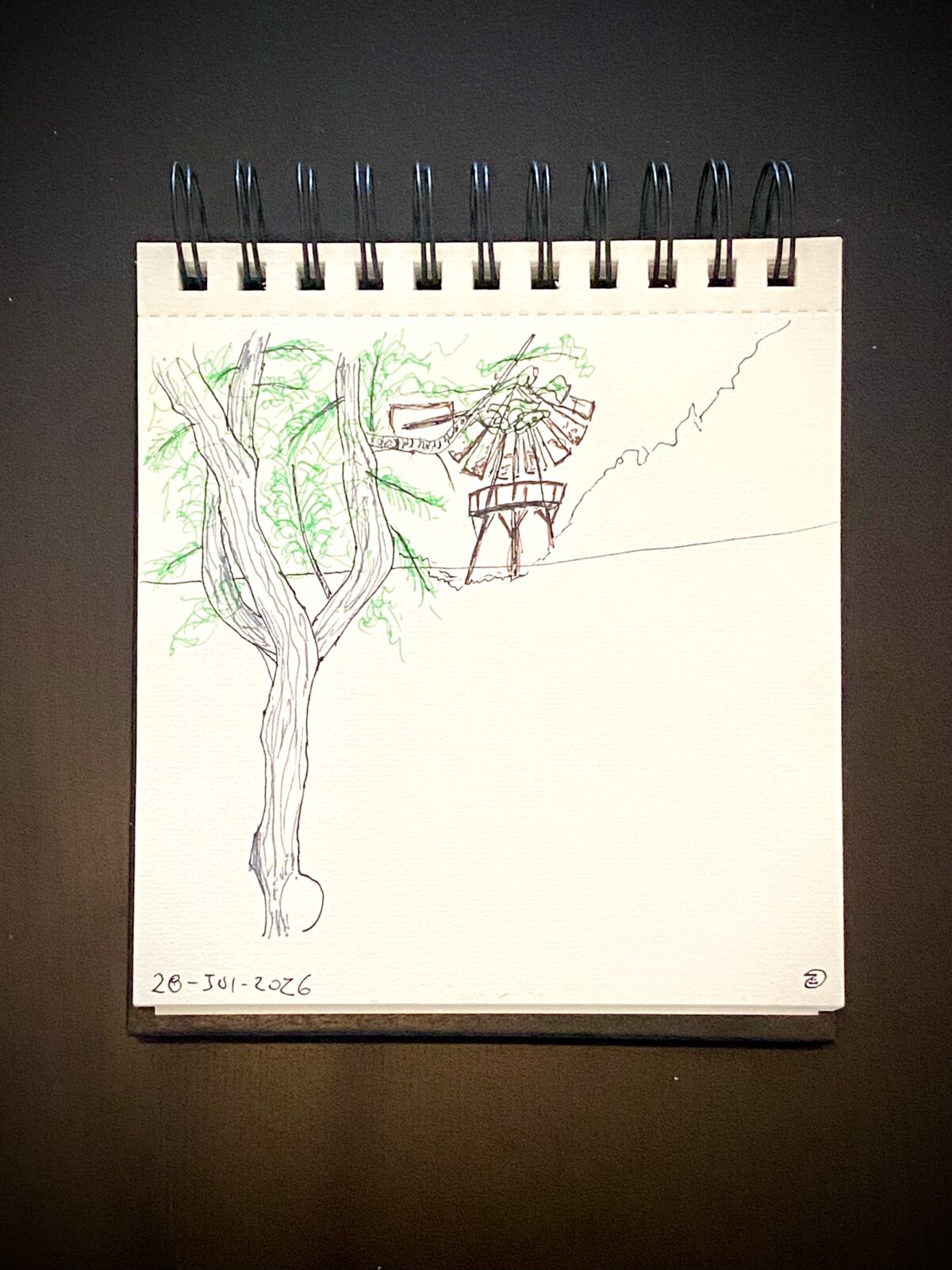 What I Draw